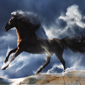 z3455460424486 b6cf87556f34c021b6b91e52322d7a4b