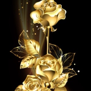 z3455462729440 50f4d384429d1232024143664d1a2ebb