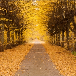 z3455463735039 b8ef54cbd511c1eefb6a0c32f3c00150