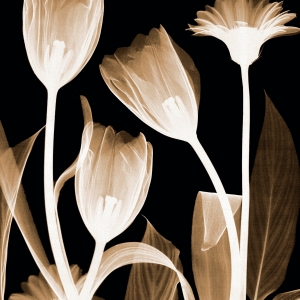 z3570632646879 0c0902a23fd7907f1d37eb6aca4482a1